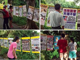 遊客或早晨運動的人們認真觀看大崗山菩提步道的法輪功真相展板