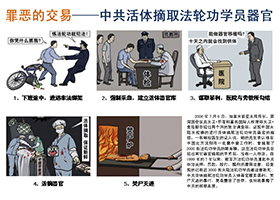 追查國際：一目擊者披露法輪功學員被活摘器官經過