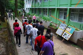 阿里山上，一群群大陸觀光遊客圍看真相展板