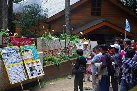 阿里山上，一群群大陸觀光遊客圍看真相展板