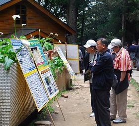 阿里山上，一群群大陸觀光遊客圍看真相展板