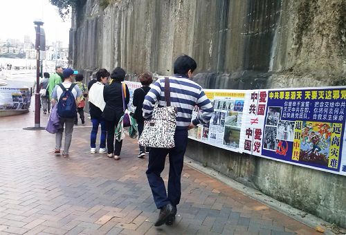 '旅遊景點的大型真相展吸引遊客駐足'