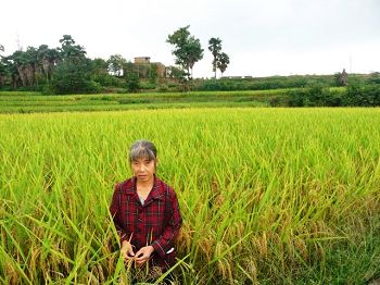 圖：李桂林女士