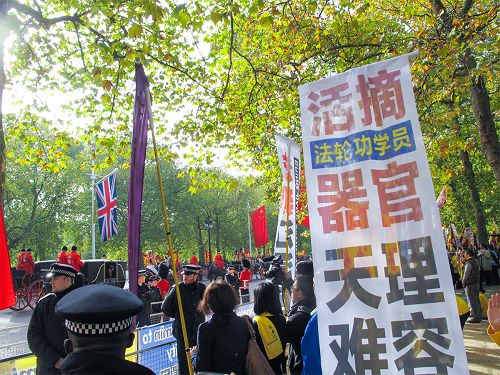 圖8：二零一五年十月二十日，在林蔭路（The Mall）上，習近平隨從乘坐的馬車路過法輪功真相橫幅，他們面帶微笑認真觀看