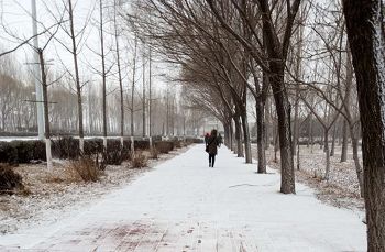 家屬冒著飛雪去探望，失望而回