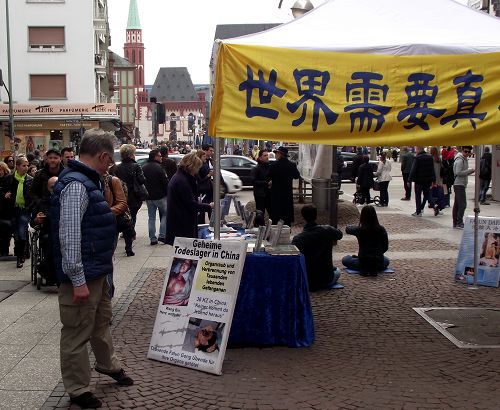 遊人認真觀看展板上中共迫害法輪功學員的真相