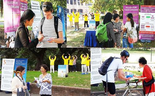 '圖1～2：法輪功學員在市中心貝爾莫公園（Belmore Park）的主街上展示法輪功的五套功法和真相展板'