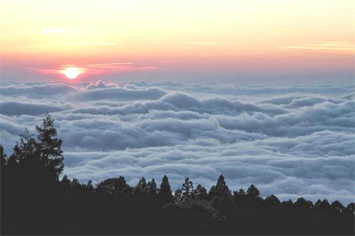 圖：阿里山雲海