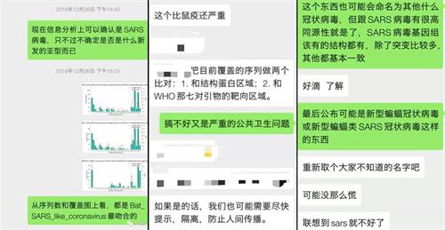 圖10：武漢肺炎病毒的最初發現者的內部微信交流截圖，顯示武漢冠狀病毒源於SARS冠狀病毒家族。