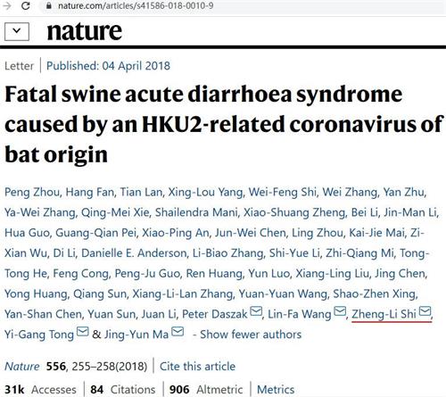 '圖：2018年武漢病毒所石正麗團隊研究2016年豬瘟的論文截圖，豬瘟SADS病毒源於蝙蝠。'