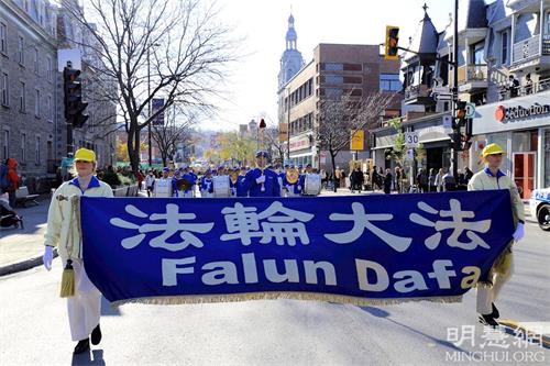 '圖1：2021年11月6日，魁北克部份法輪功學員在蒙特利爾最主要商業街之一的皇家山大道（Av Mont-Royal）上舉行反迫害大遊行。'